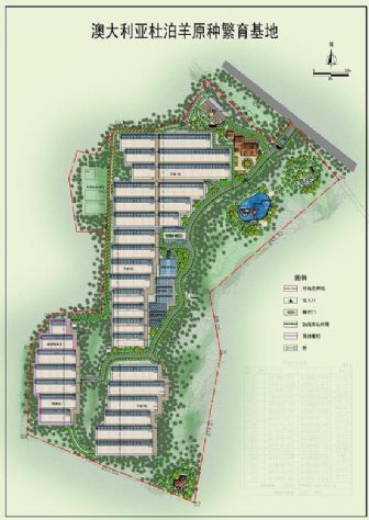 点击查看详细信息<br>标题：澳大利亚原种杜泊羊繁育基地 阅读次数：4807