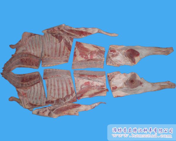 羊肉朋分