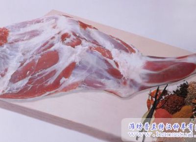 点击查看详细信息<br>标题：带骨羊前腿 阅读次数：3137