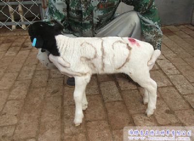 点击查看详细信息<br>标题：deep色客
展示 阅读次数：2010
