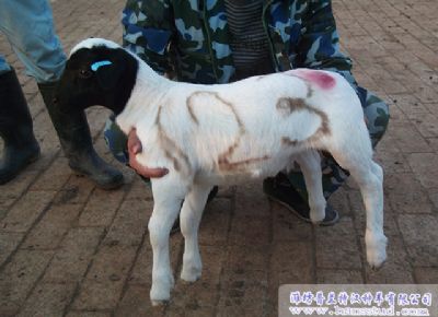 点击查看详细信息<br>标题：deep色客
展示 阅读次数：2257