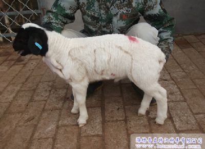 点击查看详细信息<br>标题：deep色客
展示 阅读次数：2128
