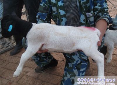 点击查看详细信息<br>标题：deep色客
展示 阅读次数：2329