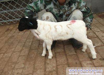 点击查看详细信息<br>标题：deep色客
展示 阅读次数：2161