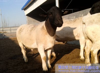 点击查看详细信息<br>标题：deep色客
展示 阅读次数：4974