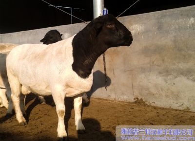 点击查看详细信息<br>标题：deep色客
展示 阅读次数：5745