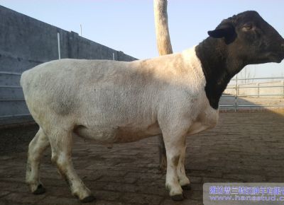 点击查看详细信息<br>标题：deep色客
展示 阅读次数：5137