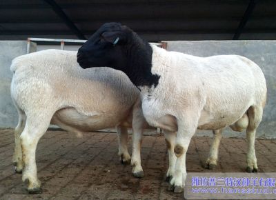 点击查看详细信息<br>标题：deep色客
展示 阅读次数：5216