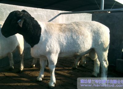 点击查看详细信息<br>标题：deep色客
展示 阅读次数：4979