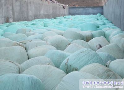 点击查看详细信息<br>标题：黑头杜泊羊专用青贮饲料 阅读次数：1706
