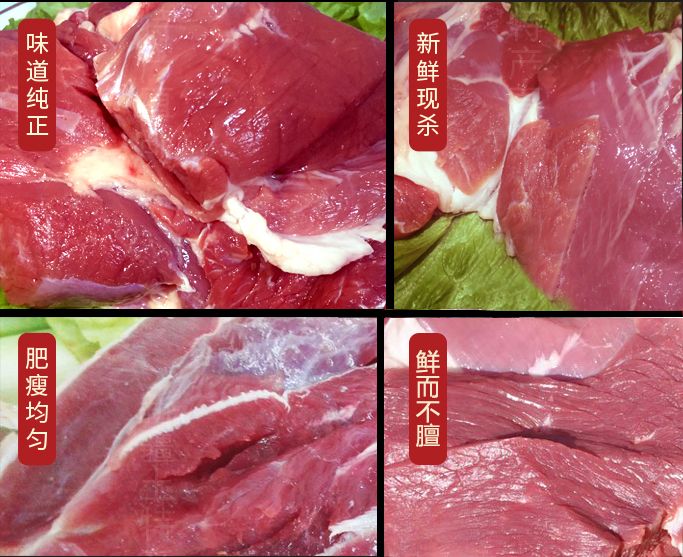 点击查看详细信息<br>标题：普兰特汉-精品羔羊肉 阅读次数：2206